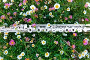 Concert classique en plein air