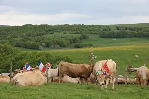 CONFÉRENCE - LA TRANSHUMANCE OVINE SUR LES HAUTES TERRES DU GÉVAUDAN