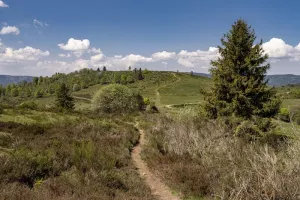 Sentiers Plaisir : Solbach et le Mont Saint Jean