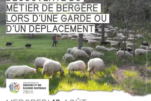 Apéro-pasto à Vassivière : Découverte du métier de bergère
