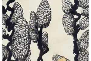 Exposition de l'artiste Clotilde Cazamajour