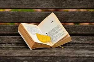 Lecture "Nos petits et grands héros''