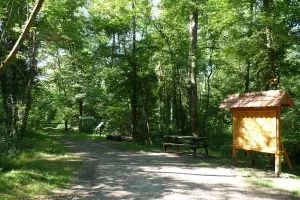 Visite commentée du sentier botanique