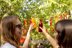 Fête du village