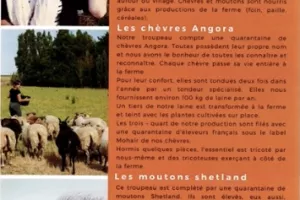 Agenda des animations