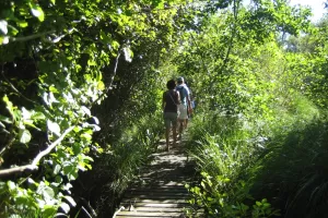 Les visites guidées de la Réserve Naturelle de l'Etang Noir