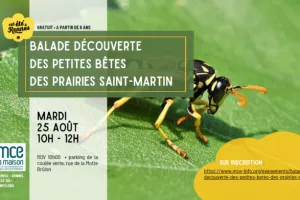 Balade découverte des petites bêtes des prairies Saint-Martin