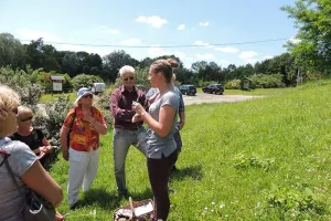 Sortie nature : Le végétal et ses usages