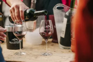 LES JEUDIS EN MALEPÈRE 2026 - DOMAINE LA GARENNE