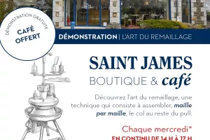 Démonstration - L'art du remaillage