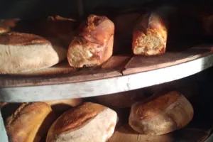 Découverte du pain au levain 