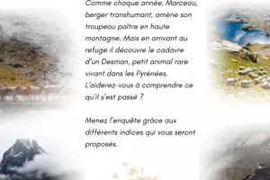 Enquête aux lacs d'Ayous