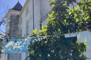 LES ATELIERS DE LA CABANE : DÉCOUVERTE DU CYANOTYPE