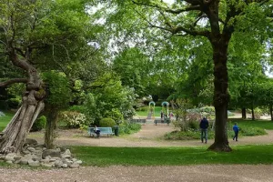 SAUVÉES PAR UN JARDIN ! LES ARÈNES DE PÉRIGUEUX