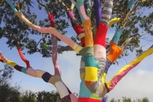 Tricot solidaire