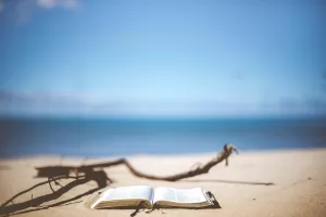 Lectures à la plage de la Source