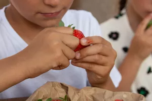 Marché festif à Aubazine