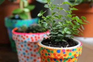 Atelier du samedi - Petits pots à pois