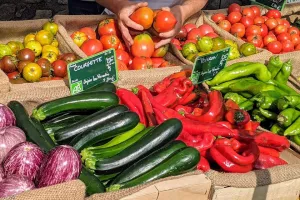 MERCAT DEL SOL "SPECIAL FETE DE LA MUSIQUE"
