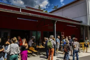 Rendez-vous des curieux : Café rencontre Birds on a Wire
