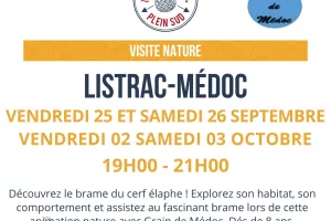 Sortie nature. À l’écoute du brame du cerf !