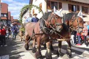 Les vendanges d'antan