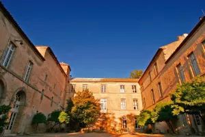FÊTE DE FIN DES VENDANGES AU CHÂTEAU DE LUC