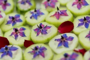 Cuisine de plantes sauvages