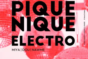 Pique-nique électro