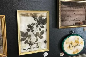 La Serre : Théotine Atelier et ses teintures végétales