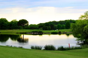 Compétition de golf : Rotary - Golf one 64 - La mie caline - Tesla