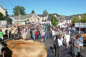 FOIRE AUX BESTIAUX À NASBINALS