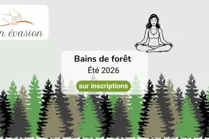 Bain de Forêt