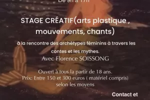 La petite sirène ou le féminin dans tous ses états