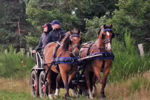 14ème édition de La Route Randonnée Découverte