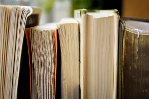 Lectures : Les Gorges de Taurion