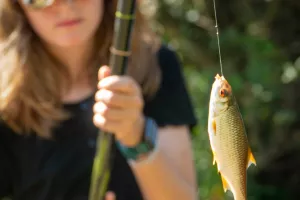 Les mercredis de la pêche