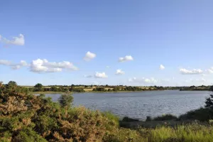 Animation nature au lac du Cébron, dans le cadre des mercredis de l'été, en Airvaudais-Val du Thouet