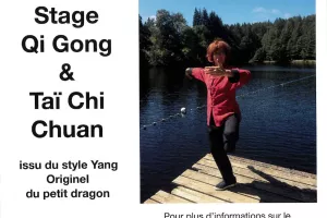 Stage Qi Gong & Taï Chi Chuan