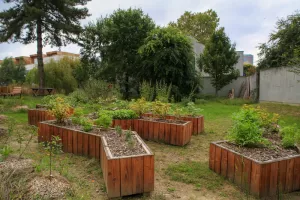 Jardins ouverts à la Cour Jardinée : ventes et rencontres