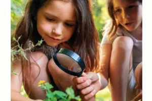 Les petites bêtes du jardin