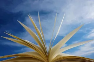 Festival « Partir en livre »