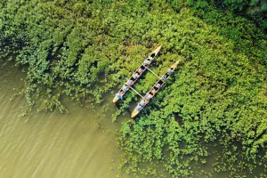 Balade nature en pirogue hawaïenne