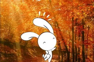 Animation nature en famille : Sur la piste des fossiles
