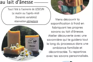 Atelier - Fabrique tes savons au lait d'ânesse.
