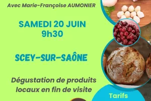 Secrets de Scey-sur-Saône  par les chemins de traverse