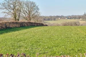 Balade nature "Le bocage dévoilé : nature préservée et géologie" à Luchapt