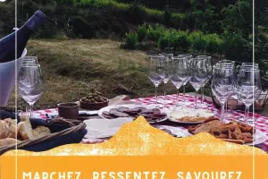 VIGNERON D'UN JOUR - VINO ENIGMA