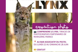 Expo photo "Comprendre le Lynx"