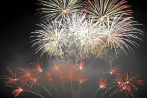 Feu d'artifice de la fête